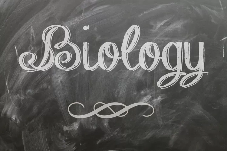 Blackboard with biology
